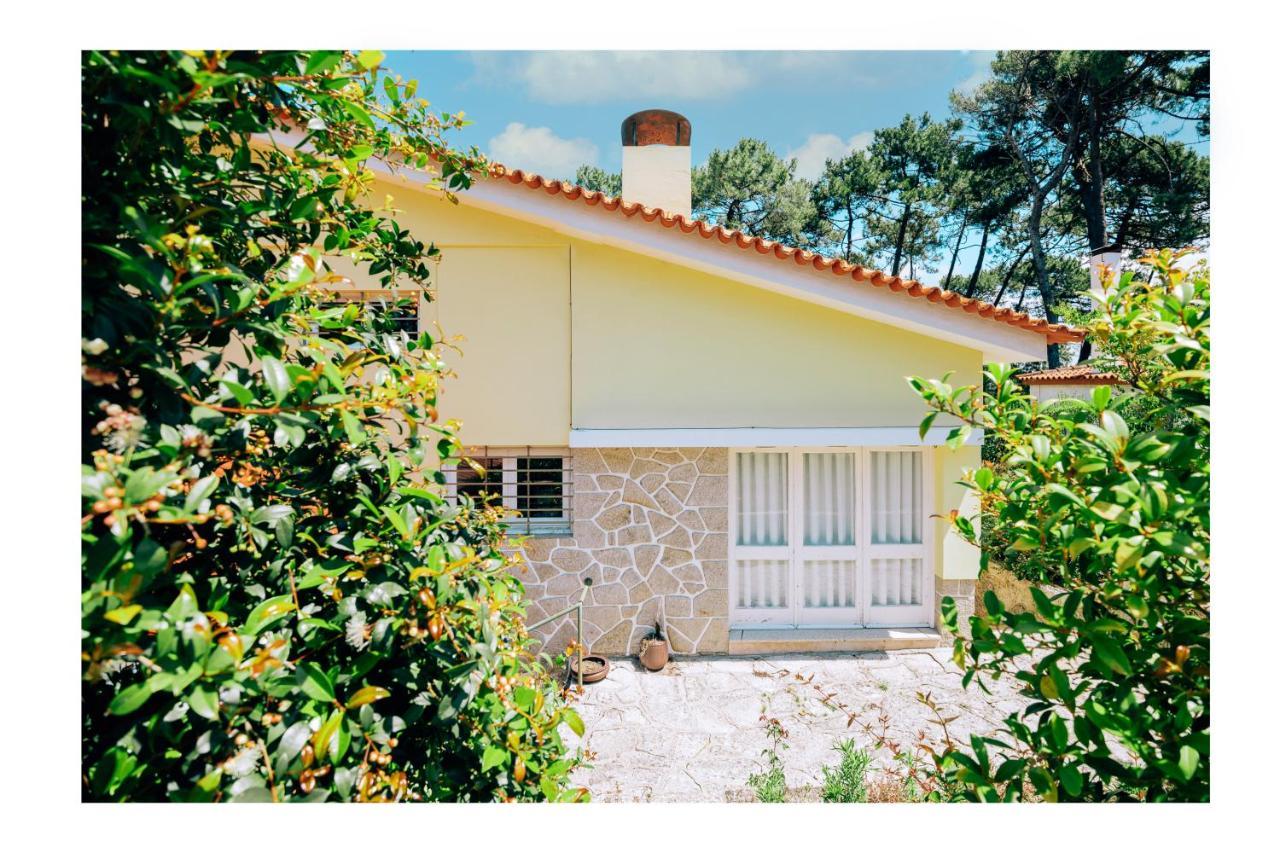 Regina Surf - Cabedelo Viana do Castelo